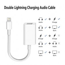 DOUBLE LIGHTNING AUDIO/CHARGING CABLE