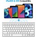 OMOTON Ultra-Slim Wireless Bluetooth Keyboard Compatible with All iPad, iPad 10.2 9th Generation/Mini 6 2021, Build-in Sliding Stand, White